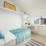 Apartman Campanelo