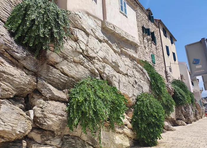 Campanelo * スプリト